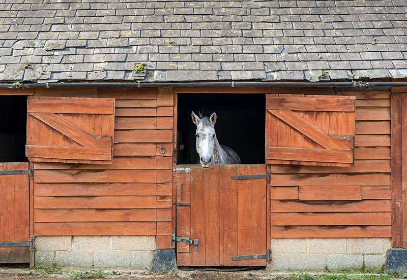 Equestrian properties for sale: 5 essentials for equestrians